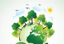 निसर्गाची हानी मानवाने टाळावी-संतोष दगडे…