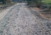 घोडीवली-अंजरून मार्गाची चाळण..