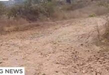 ममदापुर नवीन वसाहतीत रस्त्यांची चाळण…